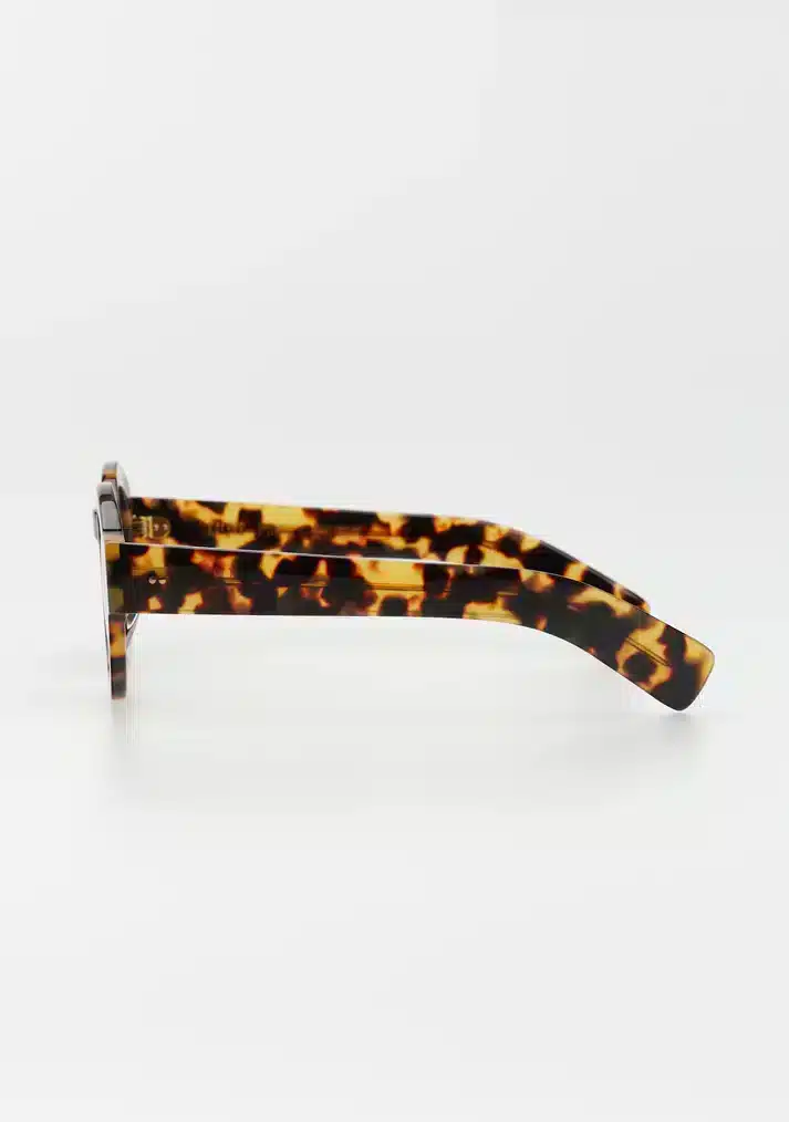 Gafas de sol Kaleos Martin 2 - Imagen 2