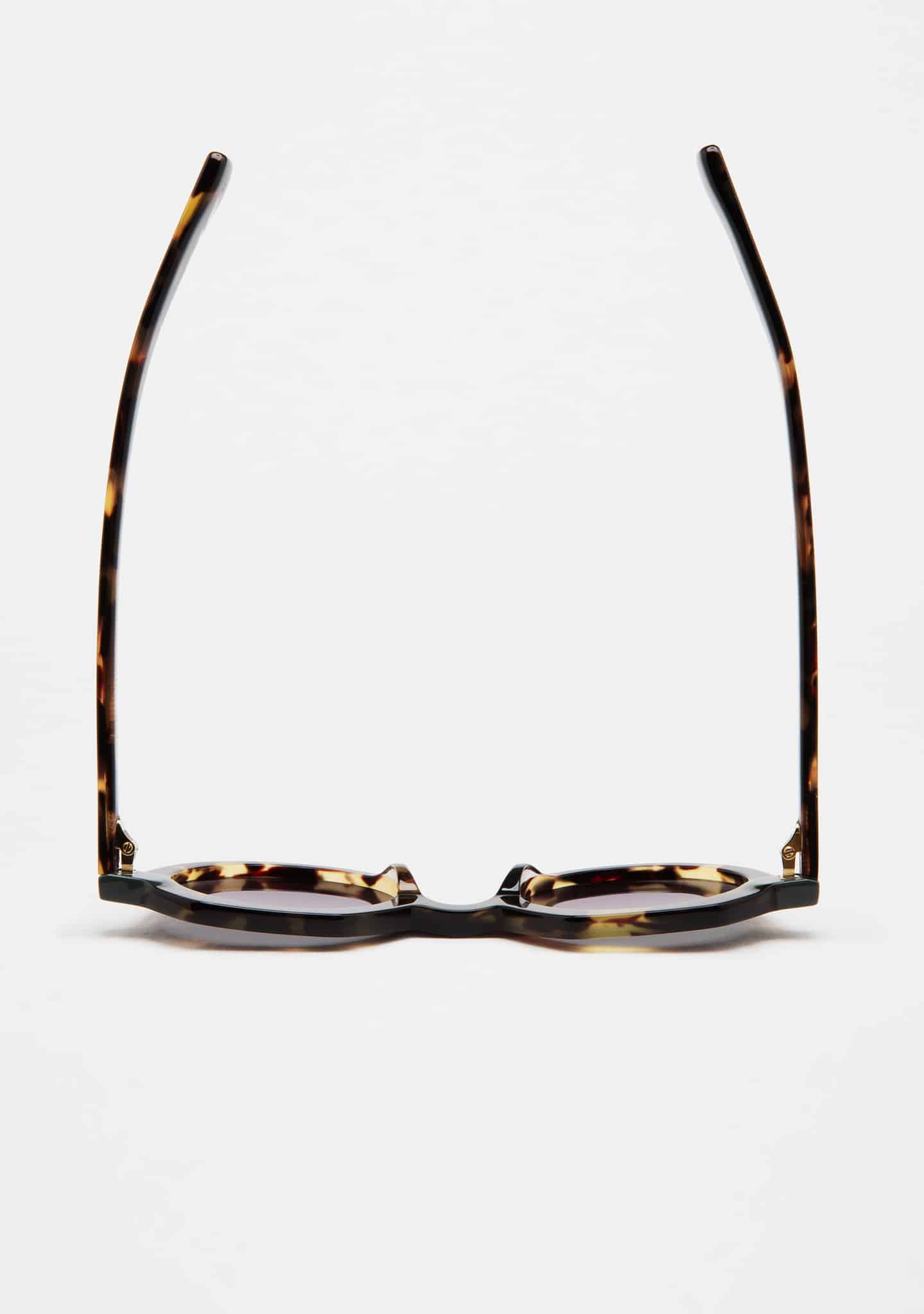 Gafas de sol Kaleos Grayson 12 - Imagen 2